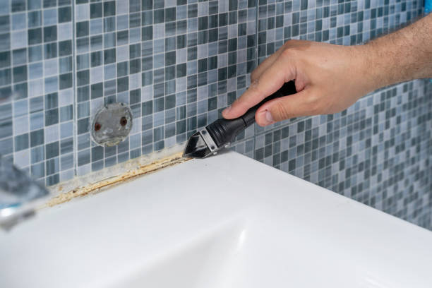 Best Certified Mold Removal  in Morton, PA