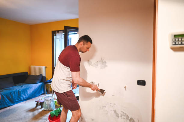 Best Commercial Mold Removal  in Morton, PA